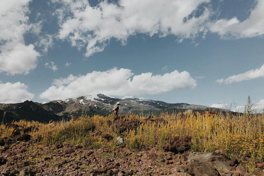 Hiker on a trail in the Chilean Lake District with snow-capped Andes volcano and araucaria terrain near Pucon